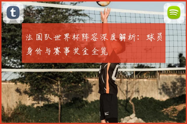 法国队世界杯阵容深度解析：球员身价与赛事奖金全览
