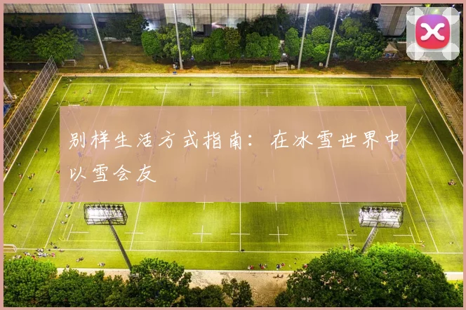 别样生活方式指南：在冰雪世界中以雪会友